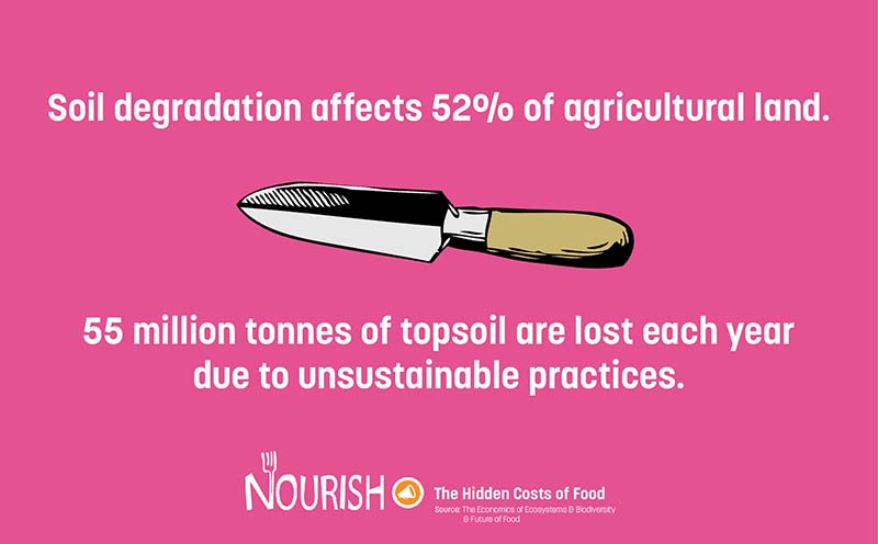 Soil degradation affects 52% of agricultural land. 55 million tonnes of topsoil are lost each year due to unsustainable practices.