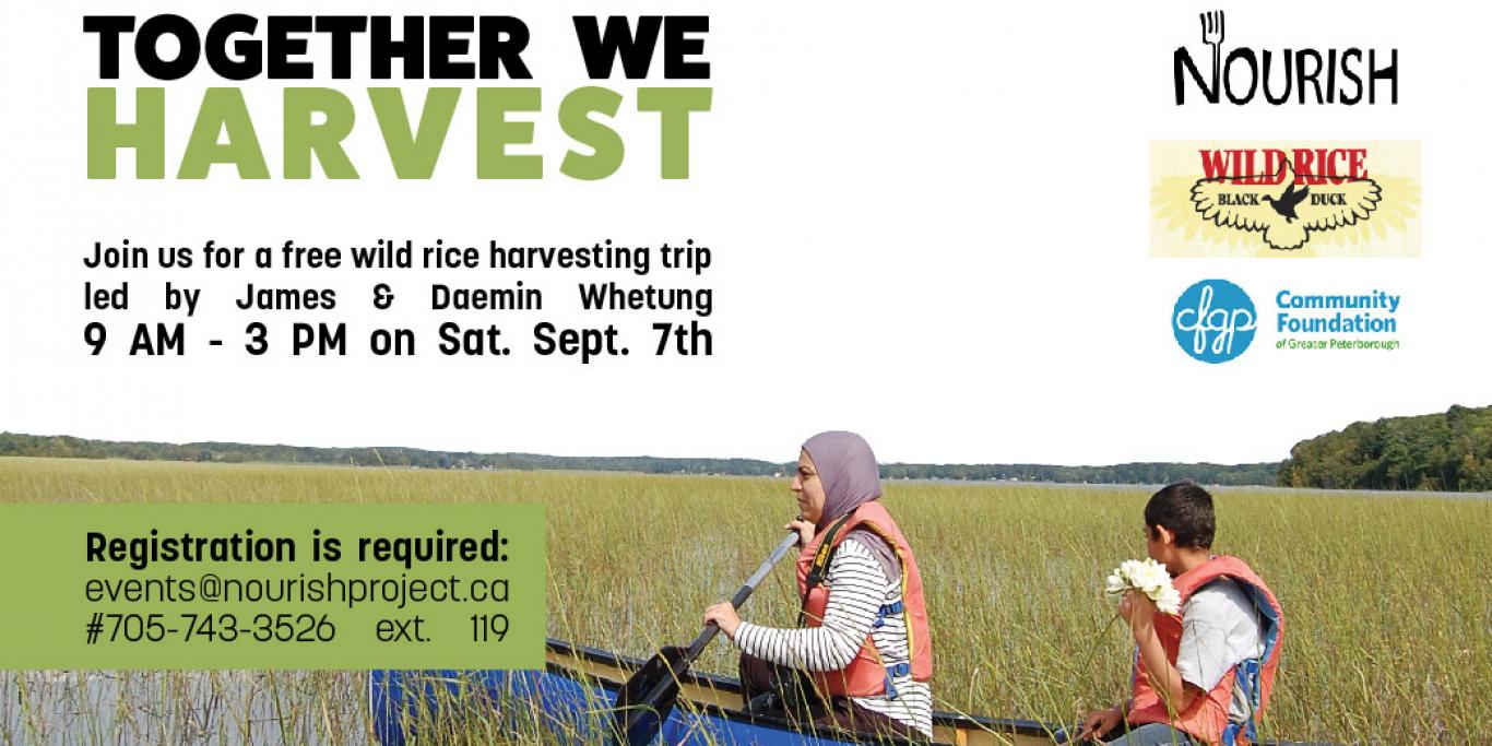 Together We Harvest: Wild Rice Harvesting Trip