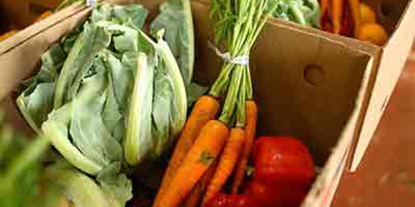 JustFood Fresh Produce Box with carrots, cabbage, peppers, and citrus fruits.