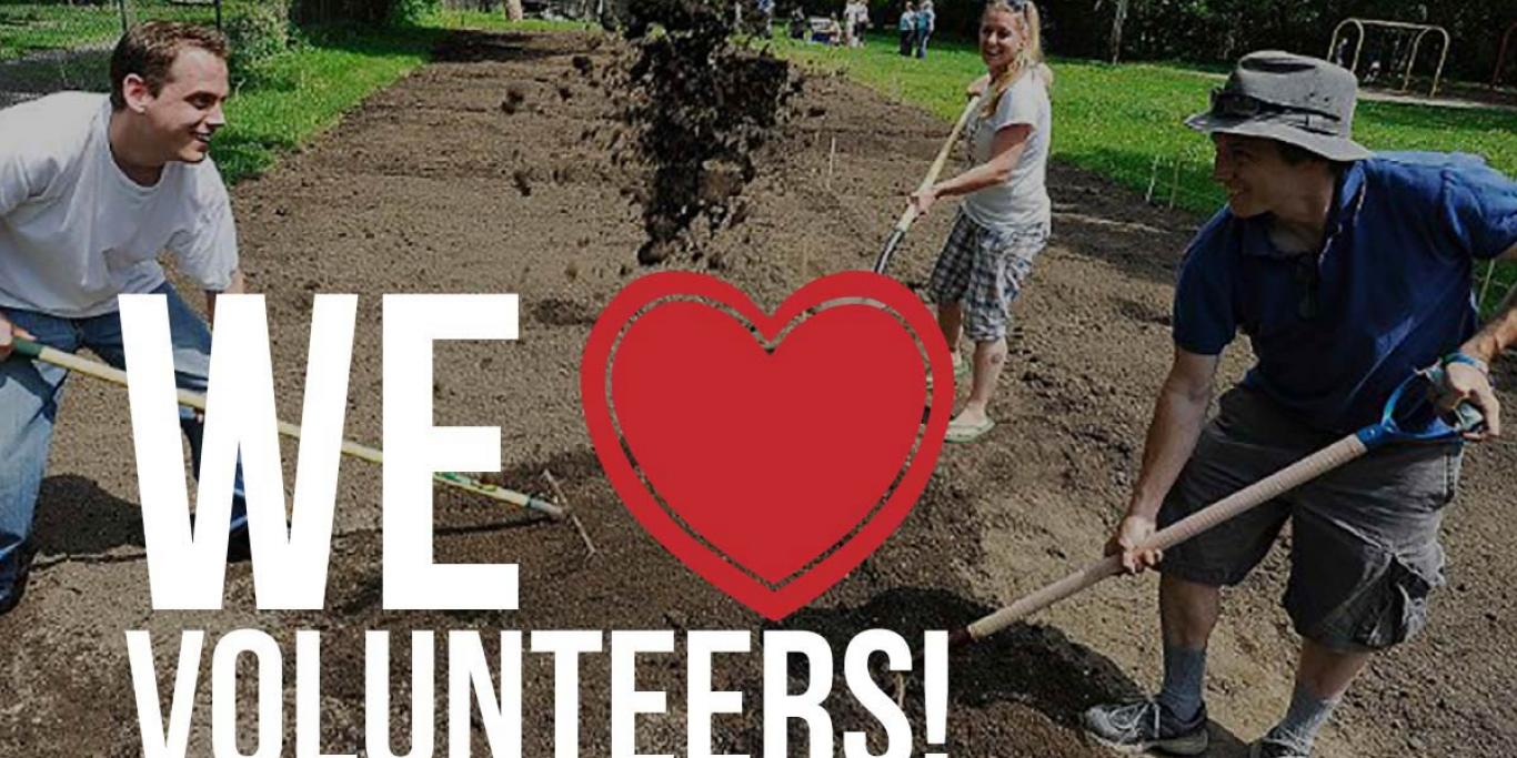 Volunteers preparing new community garden with text: We love volunteers