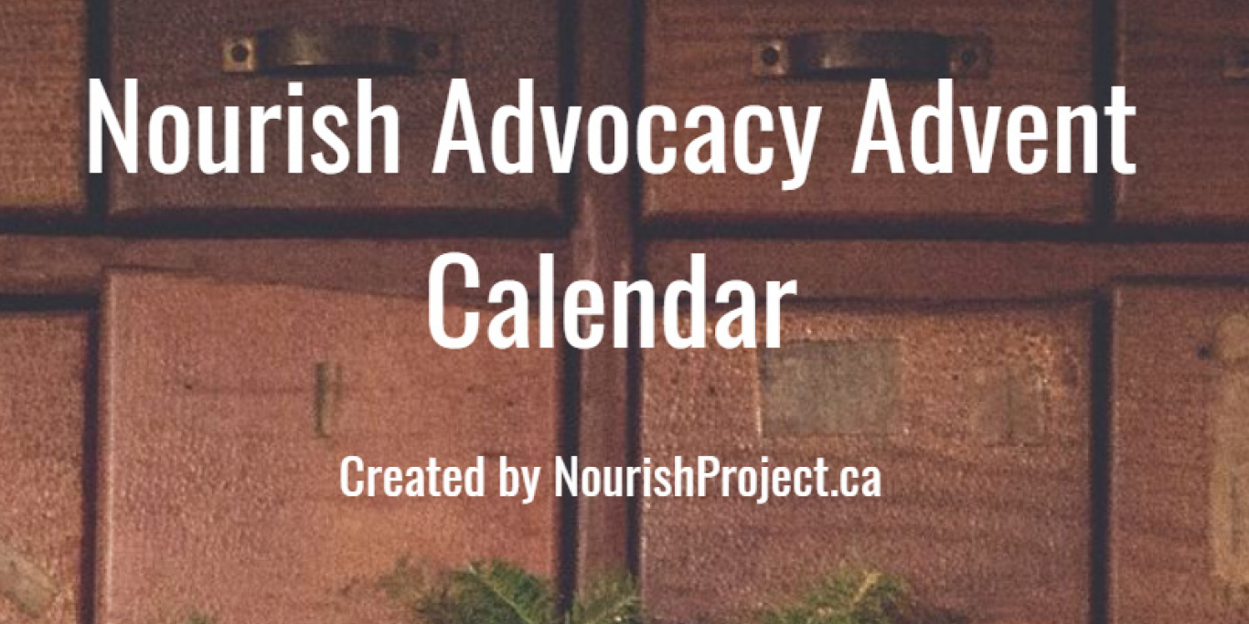 Advocacy Advent Calendar