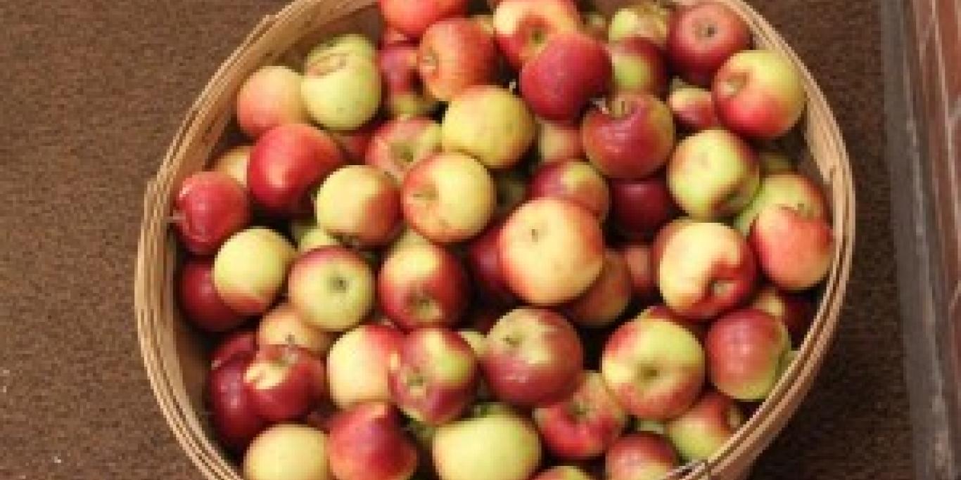 local apples