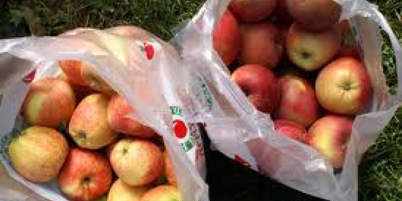 bags of apples