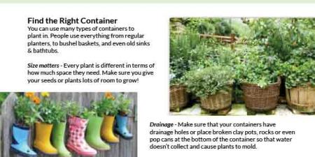 Container gardening front page