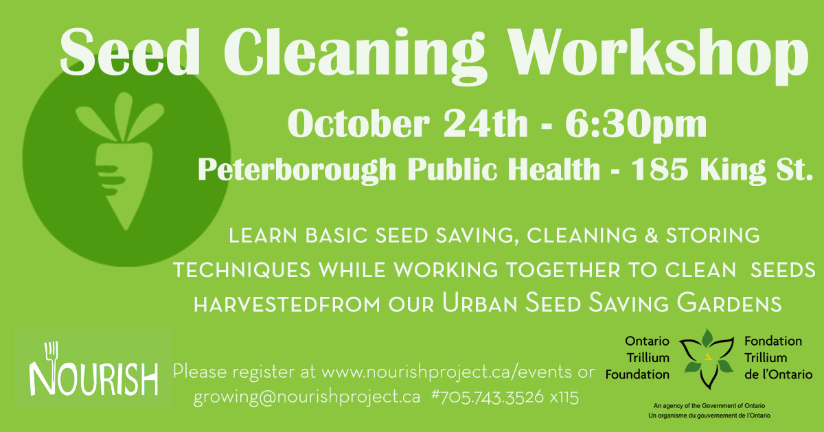 seed cleaning workshop