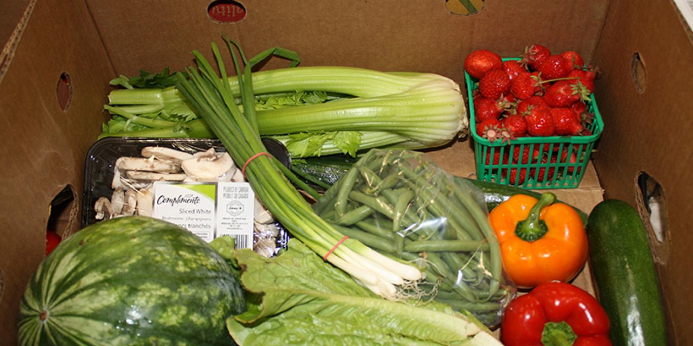 A cardboard box filled with fresh produce