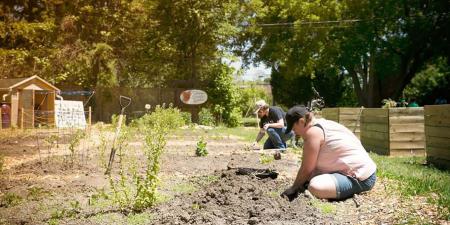 people planting a community garden plot