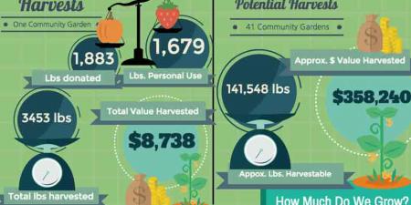 Harvest Infographic 